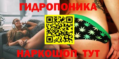 хмурый Шебекино