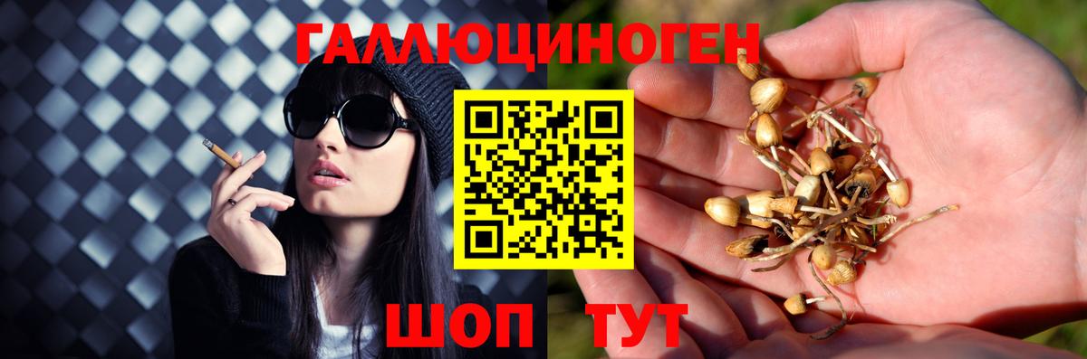 Белогорск  продажа наркотиков  Галлюциногенные грибы MAGIC MUSHROOMS  Вход с VPN  Псилоцибиновые грибы ЛСД 